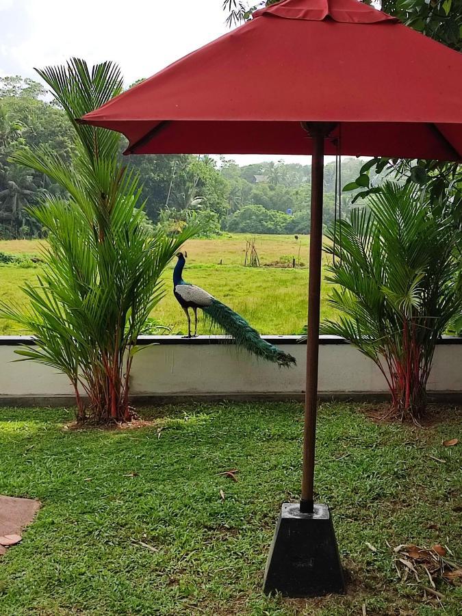 Villa Red Pool Hikkaduwa Esterno foto
